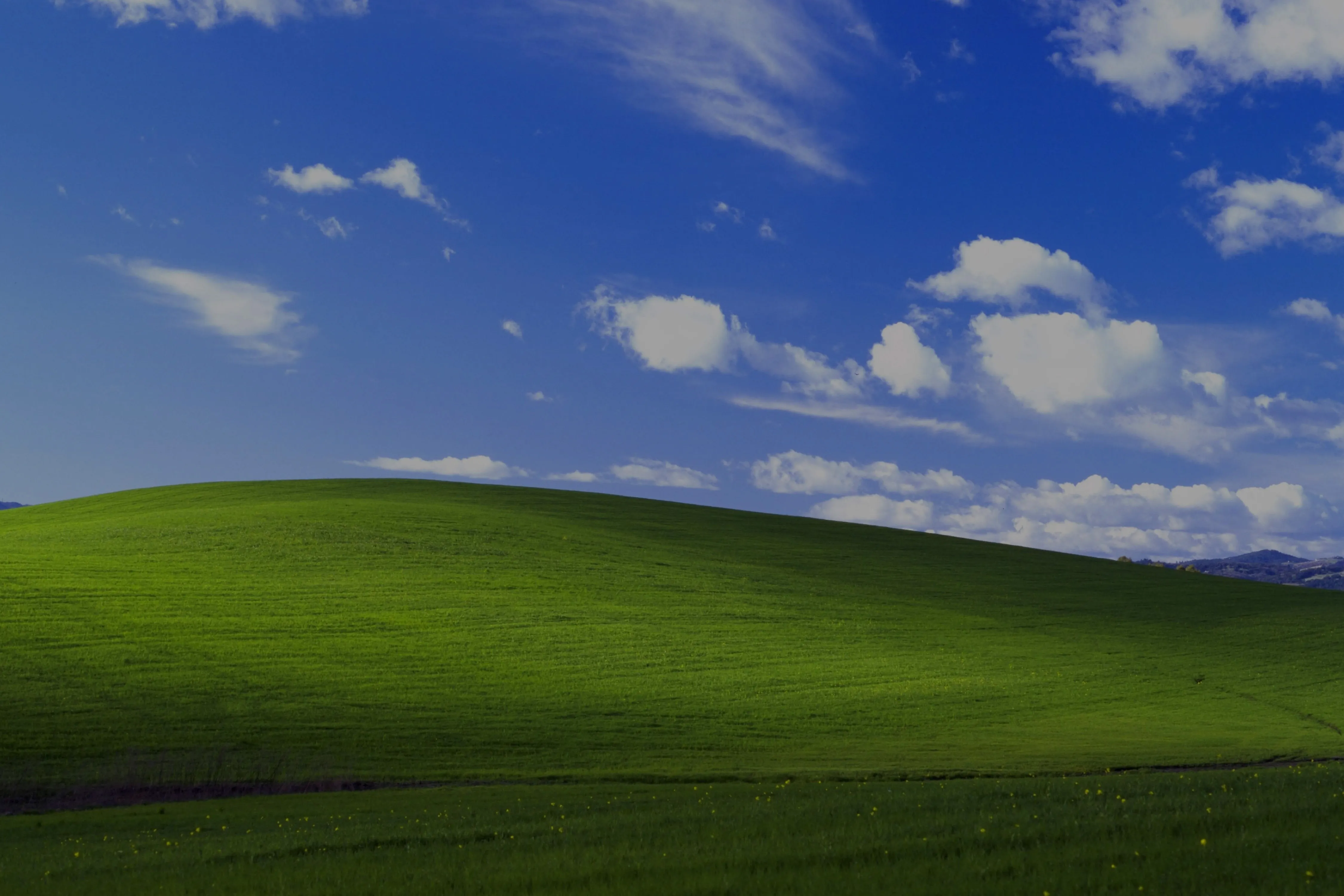 Windows XP Wallpaper
