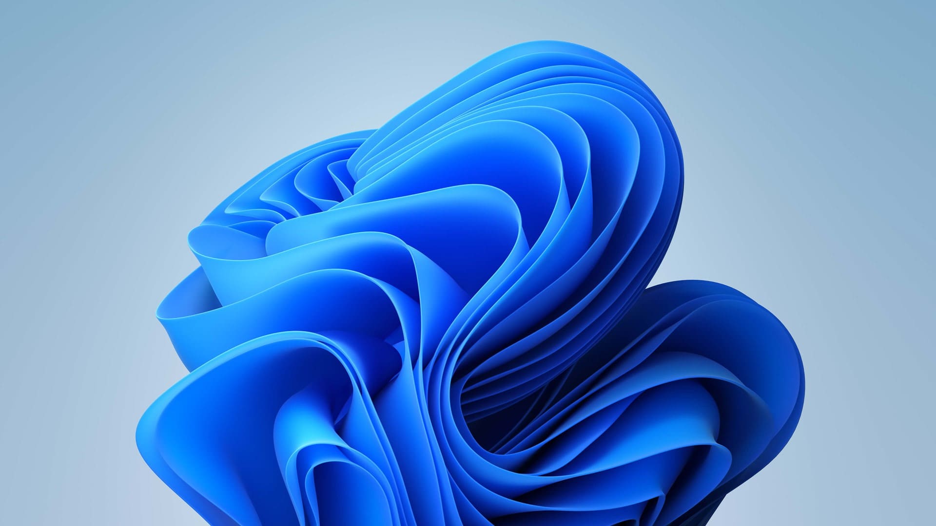 Windows 11 wallpaper