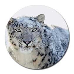 Mac OS X Snow Leopard